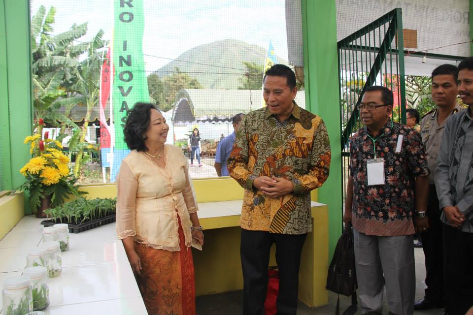8 Varietas Baru Bunga Krisan Diluncurkan
